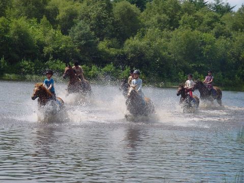 Vakantieoord De Bronzen Emmer - Camping Coevorden