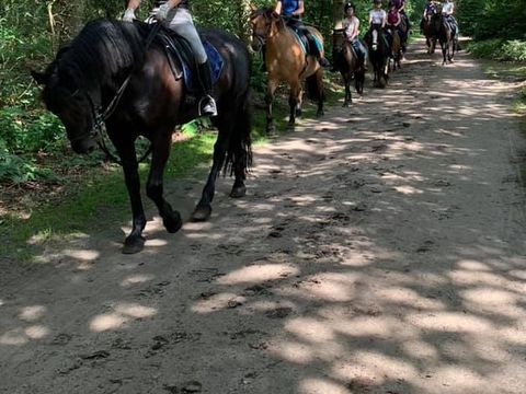 Vakantieoord De Bronzen Emmer - Camping Coevorden - Image N°3