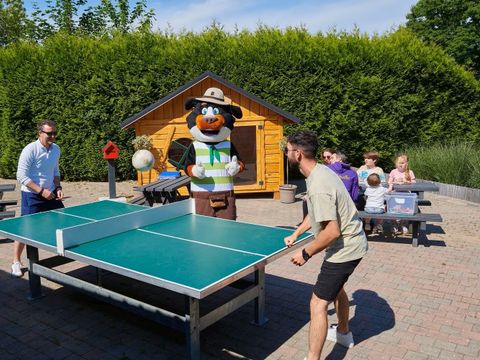 Vallée Les Etoiles - Camping Namur