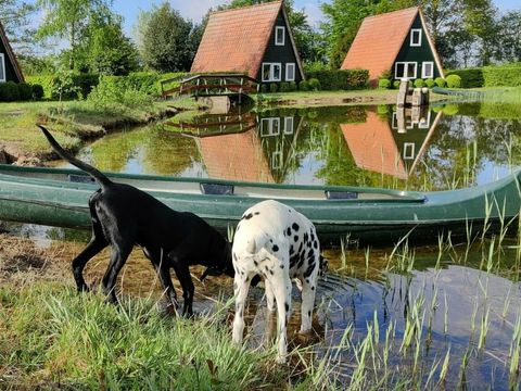 Vakantiepark Eigen Wijze - Camping Noordoostpolder