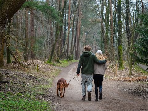 Vakantiepark Hölte - Camping Rijssen-Holten