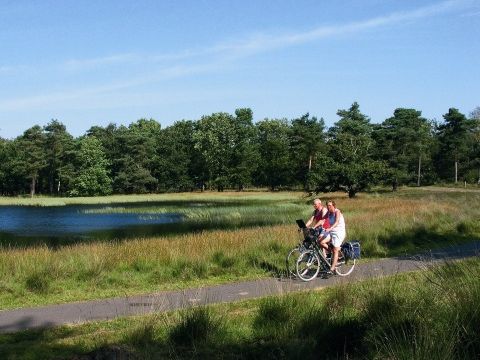 Vakantiepark Hölte - Camping Rijssen-Holten - Image N°3