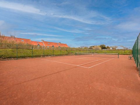 Zeepark De Haan-Wenduine - Camping Flandre Occidentale - Image N°3