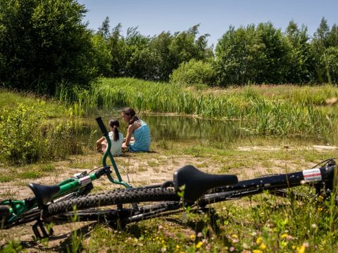 Landal Orveltermarke - Camping Mitte-Drenthe