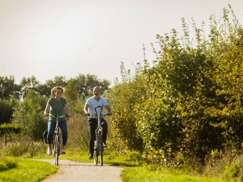 Landal Orveltermarke - Camping Midden-Drenthe - Image N°3