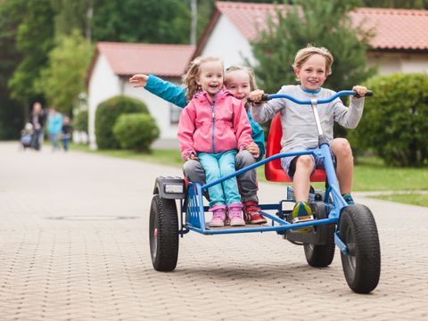 Trixi Ferienpark Zittauer Gebirge - Camping Saxe - Image N°2