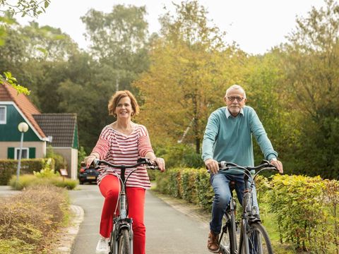 Landal Hunerwold State - Camping Westerveld - Image N°4