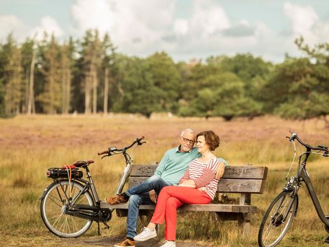 Landal Hunerwold State - Camping Westerveld