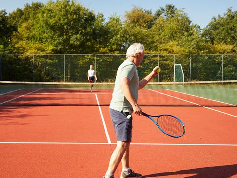 Landal De Vlegge - Camping Hardenberg