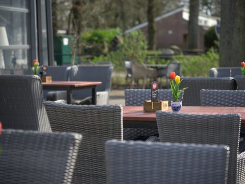 Residence De Eese - Camping Steenwijkerland