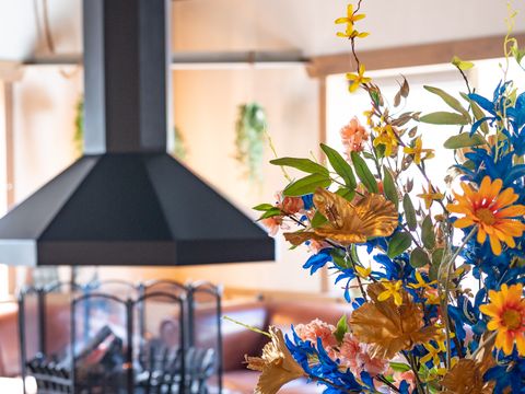 Residence De Eese - Camping Steenwijkerland