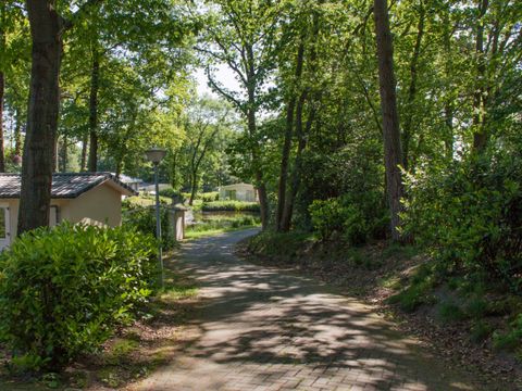 Residence De Eese - Camping Steenwijkerland - Image N°28