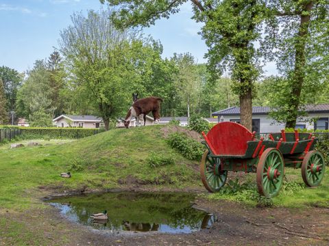Residence De Eese - Camping Steenwijkerland - Image N°25