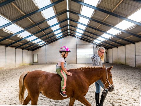 TopParken Landgoed de Scheleberg - Camping Ede - Image N°21