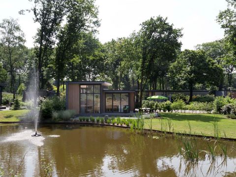 TopParken Landgoed de Scheleberg - Camping Ede