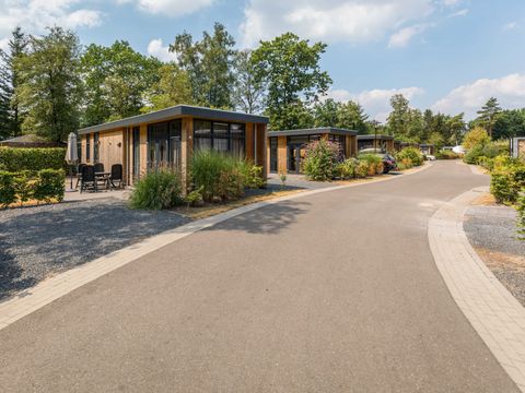 TopParken Landgoed de Scheleberg - Camping Ede - Image N°26