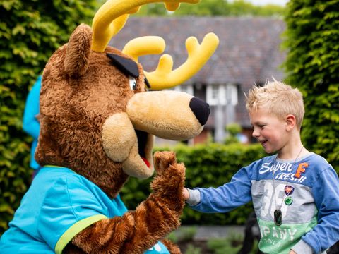 TopParken Landgoed de Scheleberg - Camping Ede - Image N°9