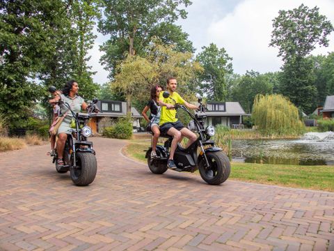 TopParken Landgoed de Scheleberg - Camping Ede