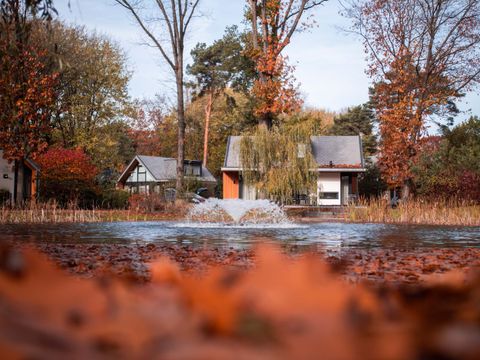 TopParken Landgoed de Scheleberg - Camping Ede - Image N°34