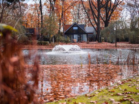 TopParken Landgoed de Scheleberg - Camping Ede - Image N°33