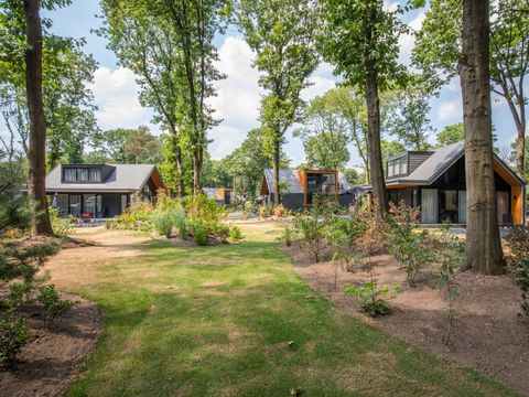 TopParken Landgoed de Scheleberg - Camping Ede