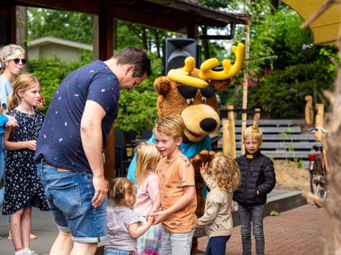 TopParken Landgoed de Scheleberg - Camping Ede - Image N°8