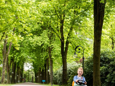 TopParken Landgoed de Scheleberg - Camping Ede - Image N°23