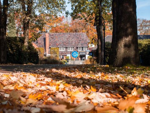 TopParken Landgoed de Scheleberg - Camping Ede - Image N°29