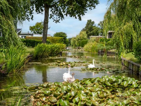 TopParken Park Westerkogge - Camping Koggenland - Image N°30