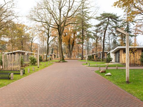 TopParken Bospark Ede - Camping Ede - Image N°30