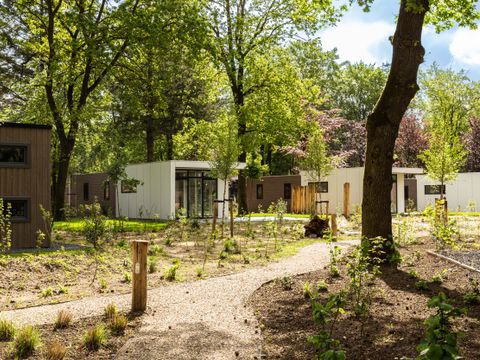 TopParken Bospark Ede - Camping Ede - Image N°33