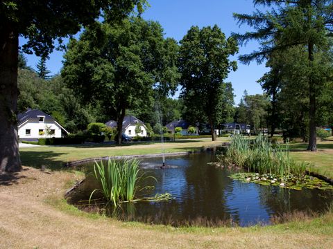 TopParken Bospark Ede - Camping Ede - Image N°34