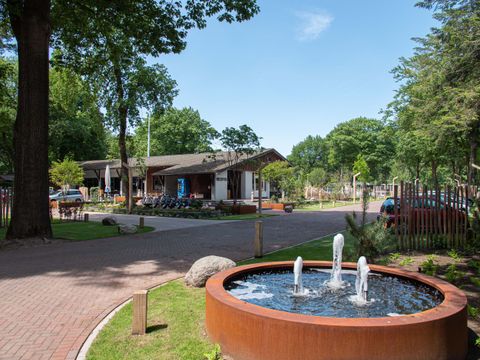 TopParken Bospark Ede - Camping Ede - Image N°24