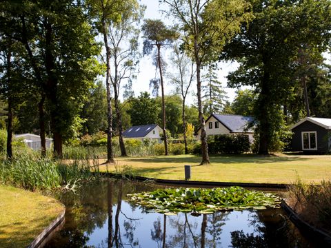 TopParken Bospark Ede - Camping Ede - Image N°35