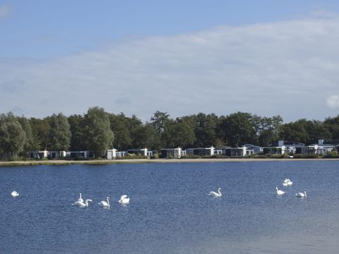 EuroParcs Bad Hoophuizen - Camping Apeldoorn - Image N°50
