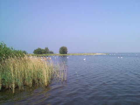 EuroParcs Bad Hoophuizen - Camping Apeldoorn - Image N°41