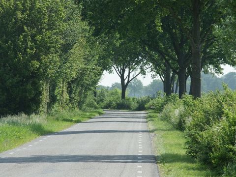 EuroParcs Bad Hoophuizen - Camping Apeldoorn - Image N°30