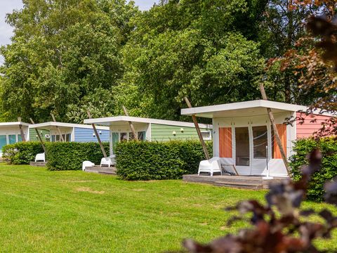 Molecaten Park De Koerberg - Camping Heerde - Image N°4