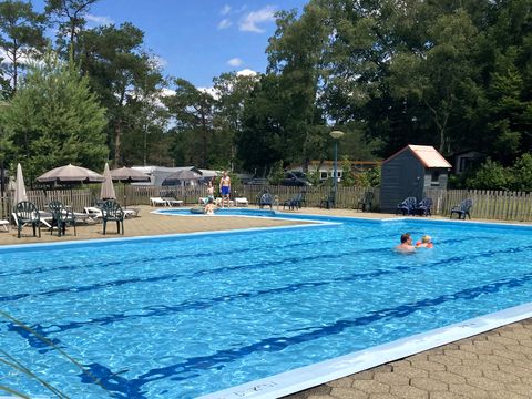 Molecaten Park De Koerberg - Camping Heerde