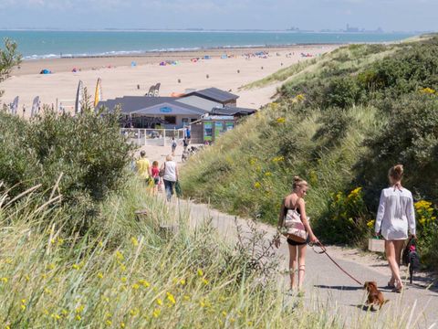 Molecaten Park Hoogduin - Camping Cadzand - Image N°5