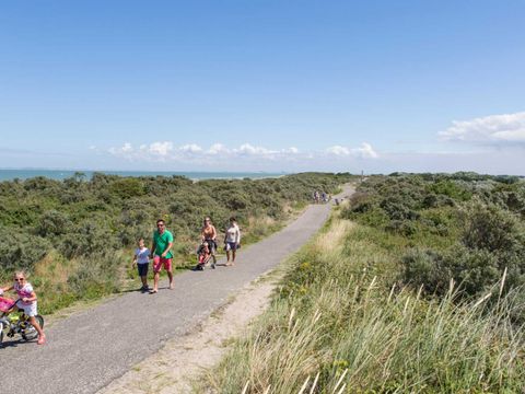 Molecaten Park Hoogduin - Camping Cadzand - Image N°2