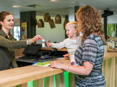 Landal Bungalowpark Hoenderloo - Camping Apeldoorn - Image N°2