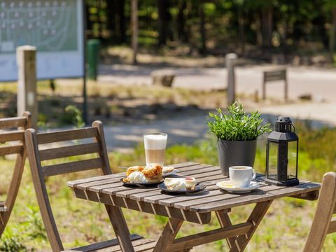 Landal Bungalowpark Hoenderloo - Camping Apeldoorn