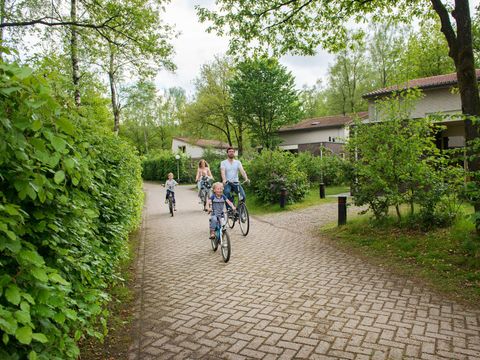 Landal Bungalowpark Hoenderloo - Camping Apeldoorn