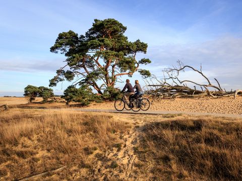 Landal Bungalowpark Hoenderloo - Camping Apeldoorn