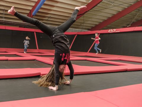 Hof van Saksen - Camping Aa en Hunze - Image N°4