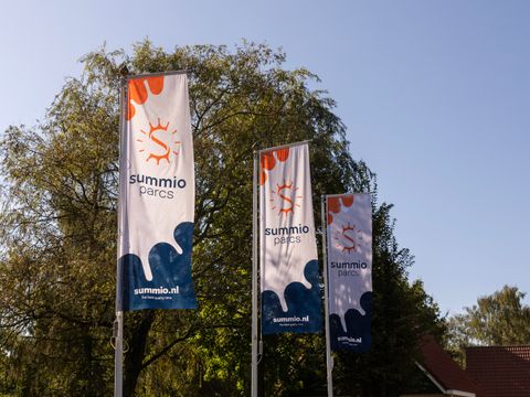 Summio Duc De Brabant - Camping Hilvarenbeek - Image N°5