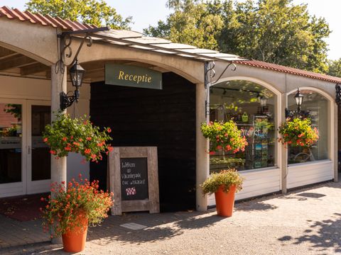 Summio Duc De Brabant - Camping Hilvarenbeek - Image N°4