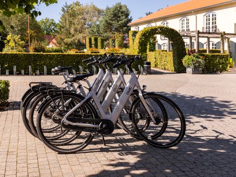 Summio Duc De Brabant - Camping Hilvarenbeek - Image N°3