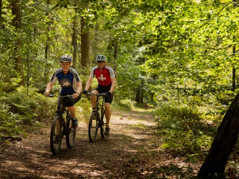 Landal Residence 't Hof van Haamstede - Camping Schouwen-Duiveland